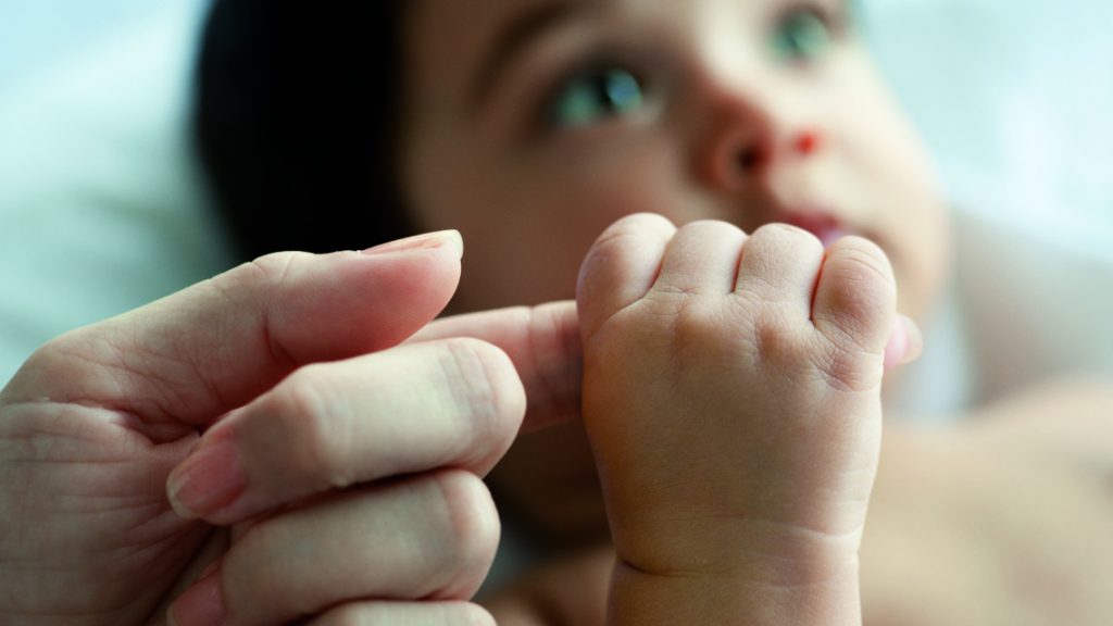 parentalidade socioafetiva