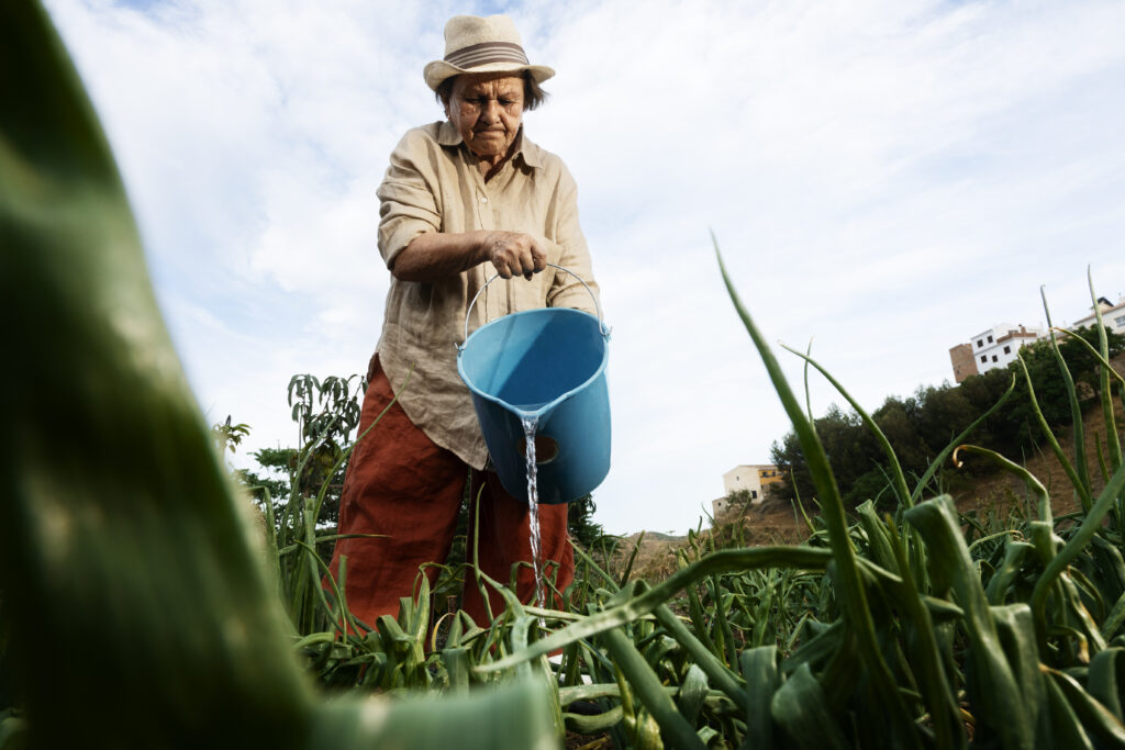Famílias assentadas pela reforma agrária no Brasil